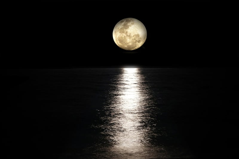 Moonlit Garden